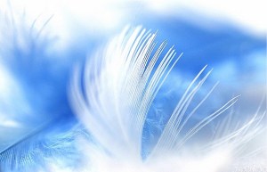 34e89941-7b83-4cdb-bff6-6d66aba92f8e-2435-000002f7c344417e