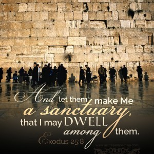 23d21353-3728-4361-9c28-57cddfdde241-4758-0000025fe991de5e