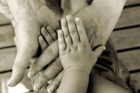 89318c0b-25a0-464f-936a-337fd3e7a03c-2381-00000220939c5c07-1